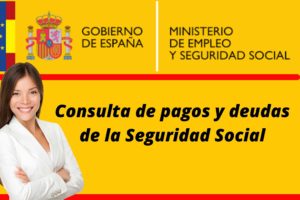 Consulta de pagos y deudas de la Seguridad Social